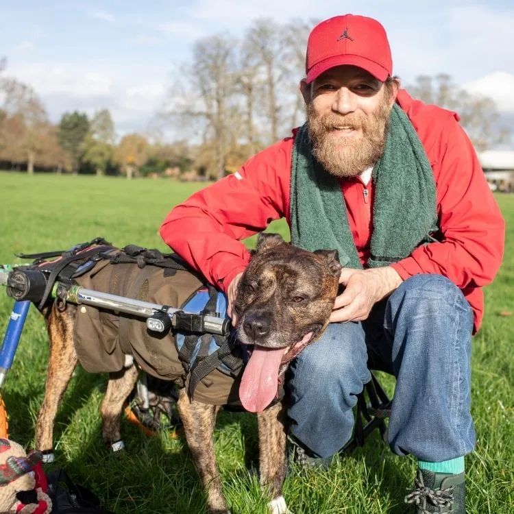 A man wearing a red cap smiles beside his dog in a wheelchair on a sunny day. The scene conveys warmth and companionship